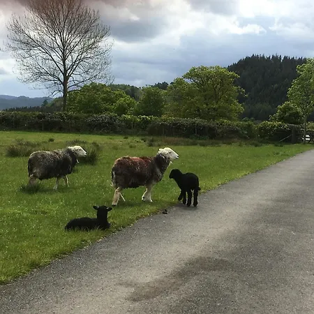 1 Bed In 94066 * Watermillock