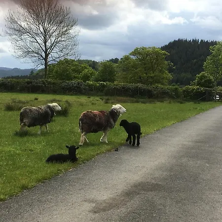 Nyaraló 1 Bed In 94066