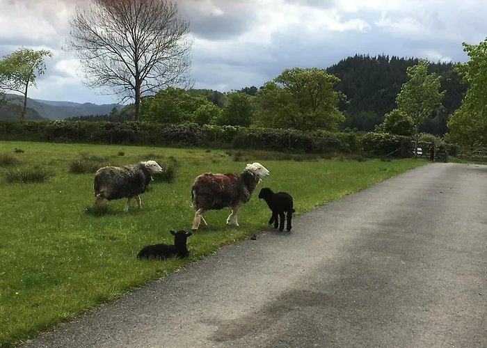 Nyaraló 1 Bed In 94066