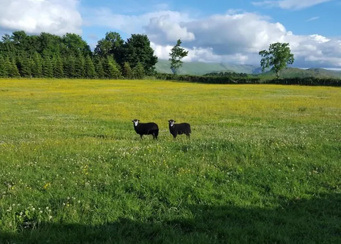 Nyaraló 1 Bed In 94066 *